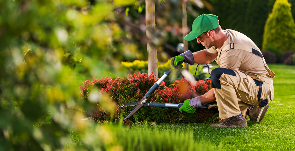Professional Landscaping Services